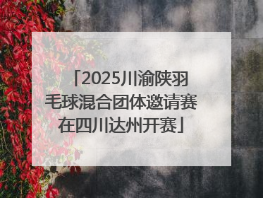 2025川渝陕羽毛球混合团体邀请赛在四川达州开赛