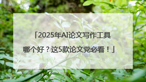 2025年AI论文写作工具哪个好？这5款论文党必看！
