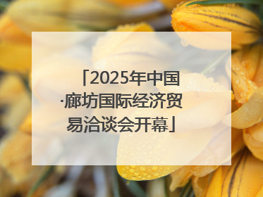 2025年中国·廊坊国际经济贸易洽谈会开幕