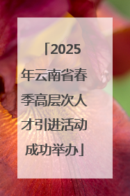 2025年云南省春季高层次人才引进活动成功举办
