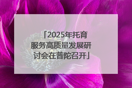 2025年托育服务高质量发展研讨会在普陀召开