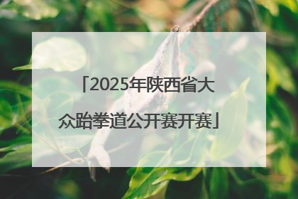 2025年陕西省大众跆拳道公开赛开赛