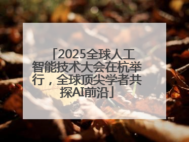2025全球人工智能技术大会在杭举行，全球顶尖学者共探AI前沿