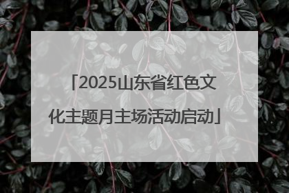 2025山东省红色文化主题月主场活动启动