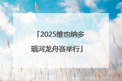 2025维也纳多瑙河龙舟赛举行