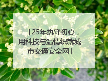 25年执守初心，用科技与温情织就城市交通安全网