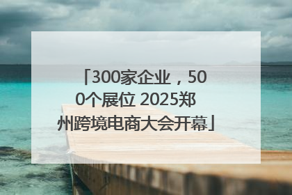 300家企业，500个展位 2025郑州跨境电商大会开幕