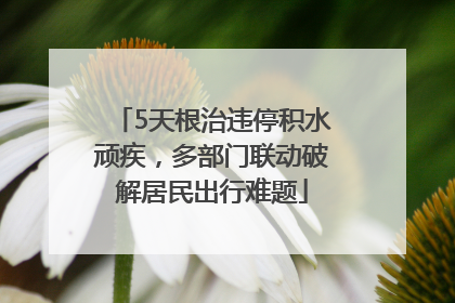 5天根治违停积水顽疾，多部门联动破解居民出行难题