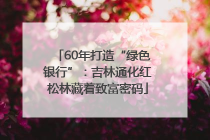 60年打造“绿色银行”：吉林通化红松林藏着致富密码