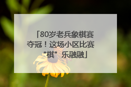 80岁老兵象棋赛夺冠！这场小区比赛“棋”乐融融