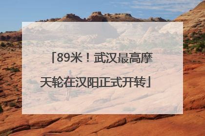 89米！武汉最高摩天轮在汉阳正式开转