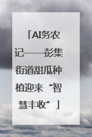 AI务农记——彭集街道甜瓜种植迎来“智慧丰收”