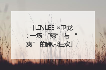LINLEE ×卫龙：一场 “辣” 与 “爽” 的跨界狂欢